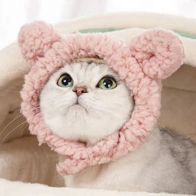 Badu.bg Домашна котка Куче Шапка Плюшени шапки Подпори за снимки ...
