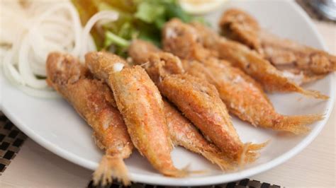 Barbunya (Barbun) nasıl bir balıktır? Barbunya (Barbun) balığı nasıl ...