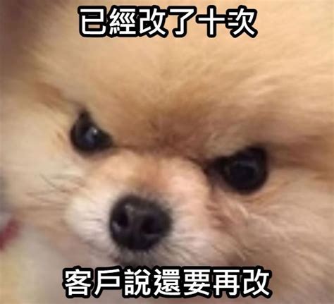 你已被可愛狗狗造訪！10張職場版狗狗梗圖，各種工作心聲全收錄！-生活版｜PopDaily 波波黛莉