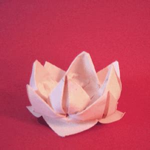 Simple Origami Lotus Flower Instructions | Best Flower Site