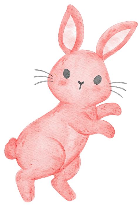 bunny rabbit drawing images 1