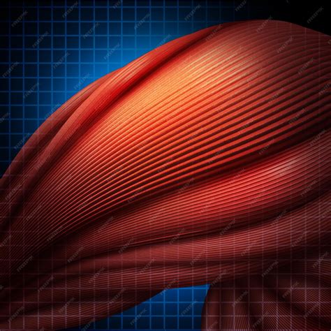 Premium AI Image | Human muscle pain or myalgia illness as a medial