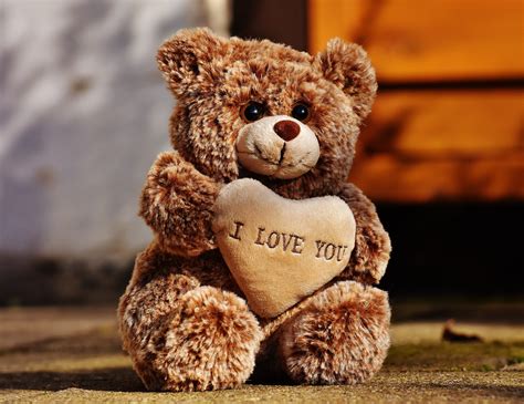 Cute Teddy Hd Images Free - Infoupdate.org