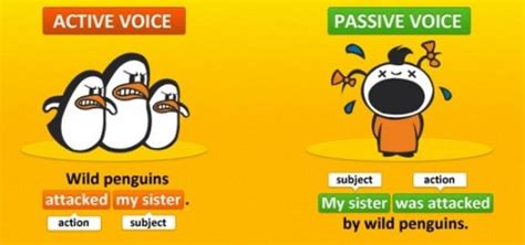 passive voice english  marina