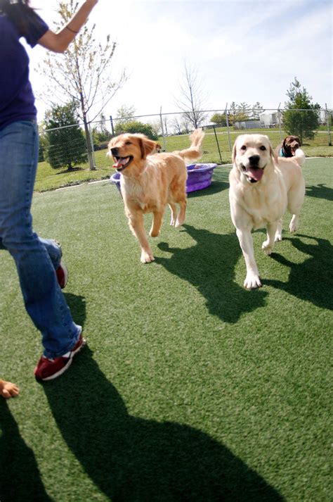 Connor palace cleveland oh events bring Broadway to the city 23