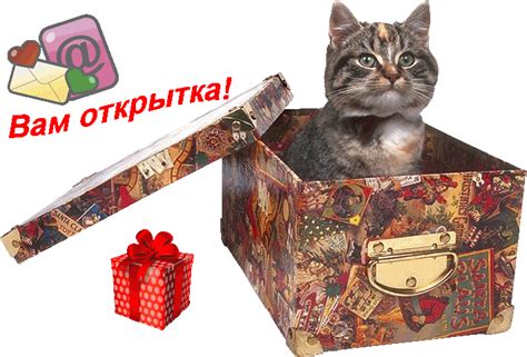 Генератор живых открыток. Теперь создать живую открытку так же просто ...