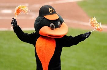 Baltimore Orioles | Baltimore orioles, Baltimore orioles baseball ...