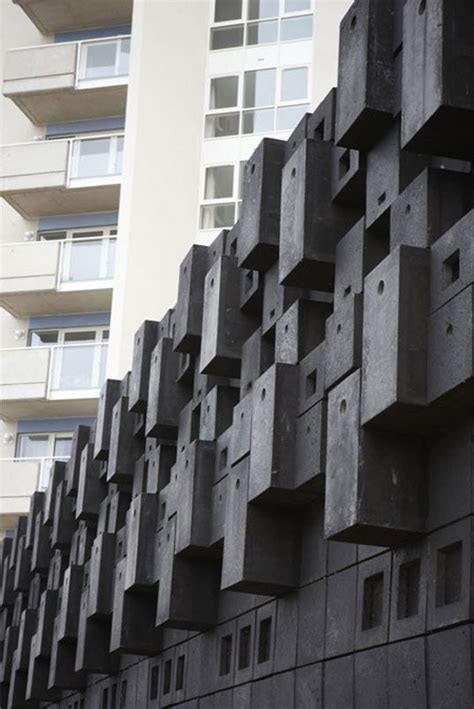 animal wall deluxe apartments  birds  bats