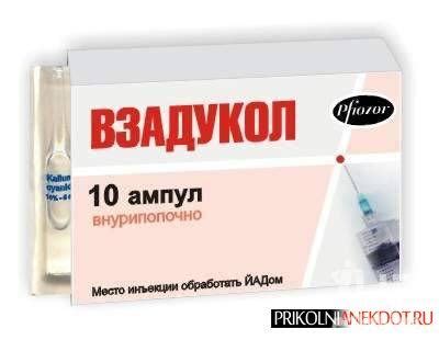 Приколи - картинки, відео приколи, смішні історії та анекдоти