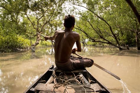 Environmental Justice Foundation | Defending the world’s life-giving…