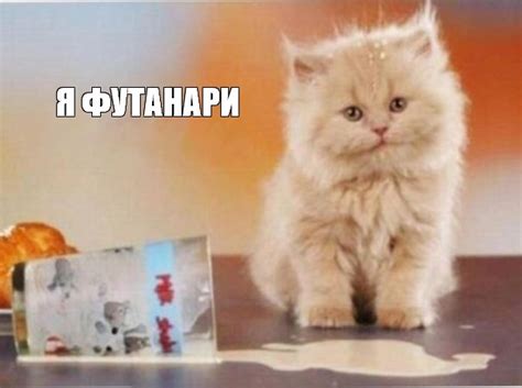 Комикс мем: "Я ФУТАНАРИ" - Комиксы - Meme-arsenal.com