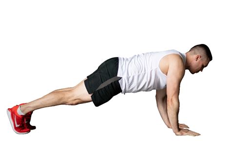 plank  high plank rapid loss program