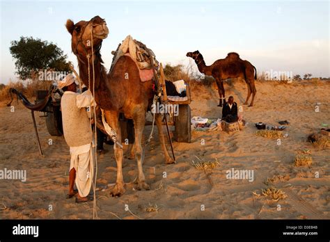 Thar Desert India Stock Photo - Alamy