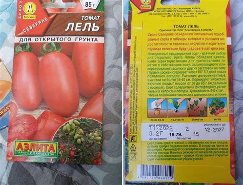 Лучшие низкорослые сорта томатов, которые завалят урожаем. Не требуют ...
