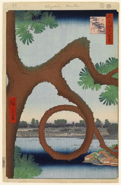 Moon Pine Tree in Tokyo