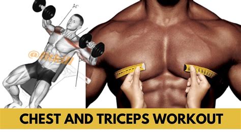 8 Best Chest and Triceps Exercises - Massive Chest & Triceps | Fitkill