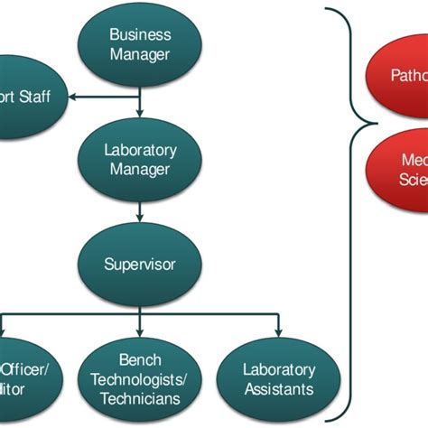 1. An example of a medical laboratory organizational structure ...