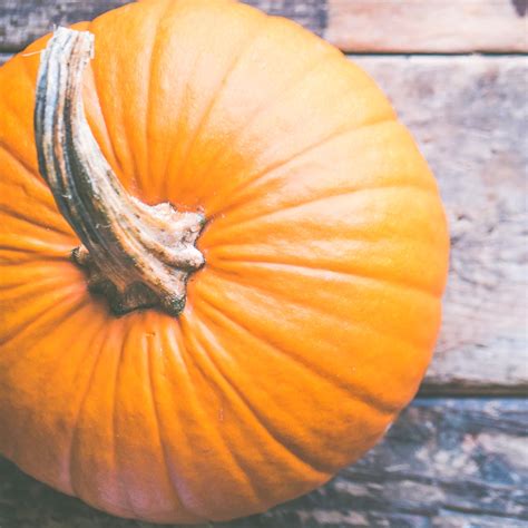 how to cook sugar pumpkins