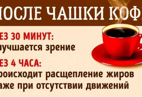Действие кофеина: что происходит с организмом после чашки кофе - Estet ...