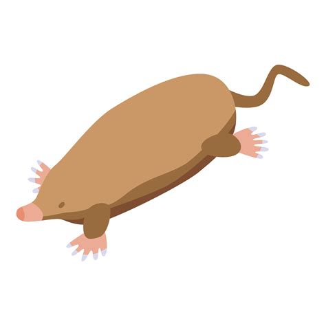 Mole animal icon isometric vector. Cute ground 15114574 Vector Art at