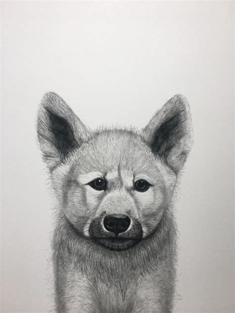 Wolf Cub Drawing at PaintingValley.com | Explore collection of Wolf Cub ...