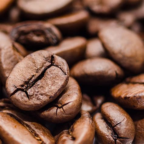 Shop | Leelanau Coffee Roasting Co.