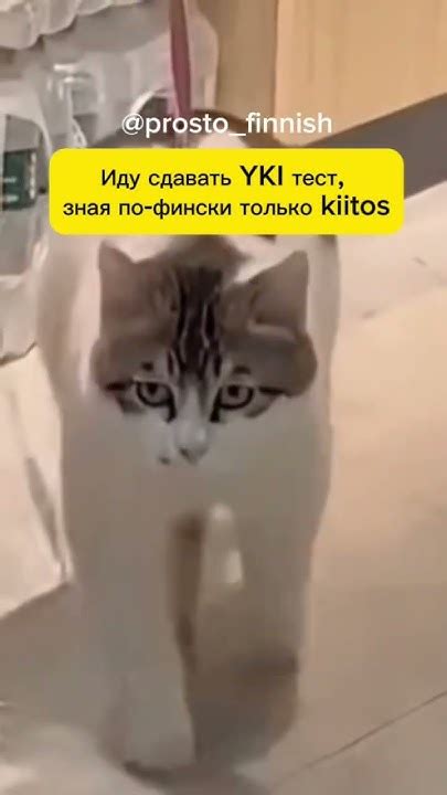 Знакомо? 😂#простофинский #мем #финскийязык #финляндия # ...