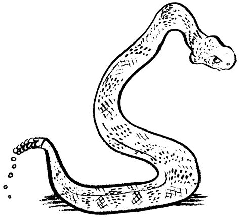how do you snake scared naturally 5