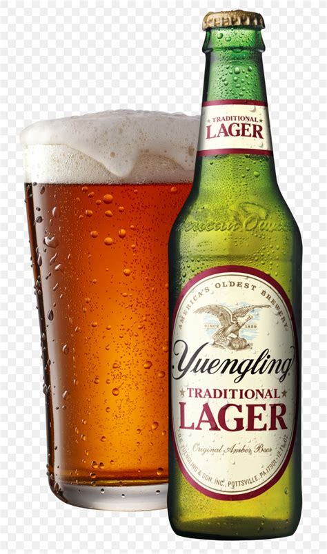 Yuengling Beer Lager Pilsner Brewery, PNG, 1000x1698px, Yuengling ...