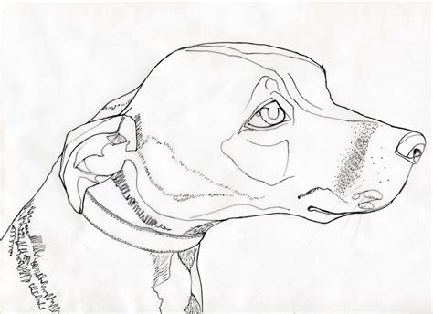 Free Line Drawing, Download Free Line Drawing png images, Free ClipArts ...