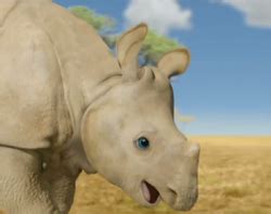 Rhino | Wonder Pets! Wiki | Fandom