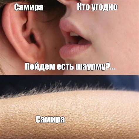 Мем: "Кто угодно Самира Пойдем есть шаурму?... Самира" - Все шаблоны ...