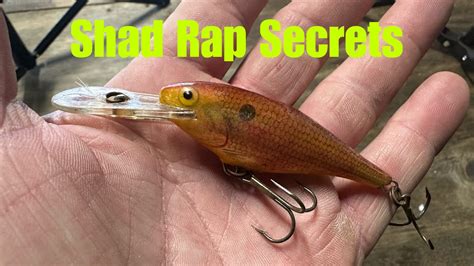 Conditions When A Shad Rap Outperforms Any Other Lure - YouTube
