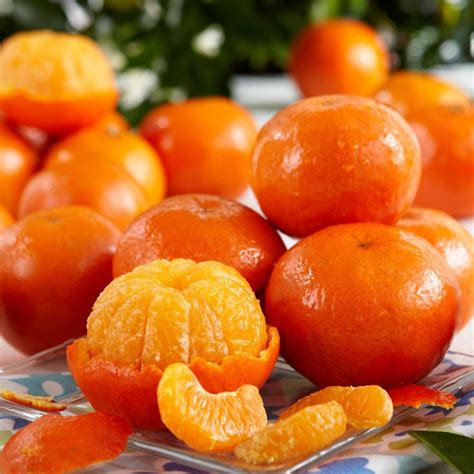 tangerine fruit brand  timothy greenwell blog