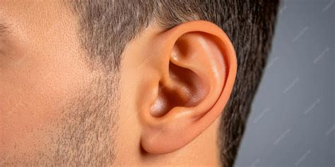 closeup  male ear human anatomy detailed view  outer ear hearing