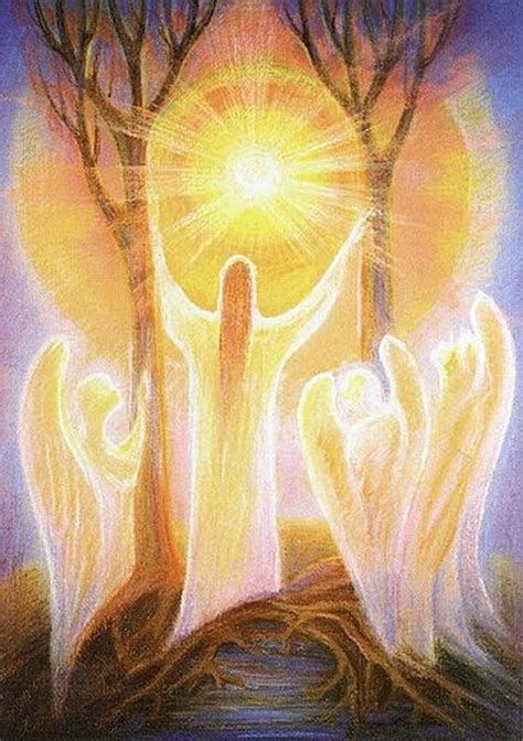 refer    divine     origin auromaa