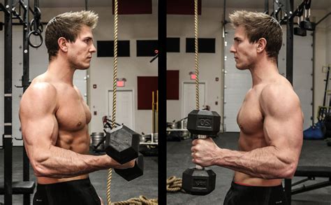 big arms  exercises  build huge arms fast