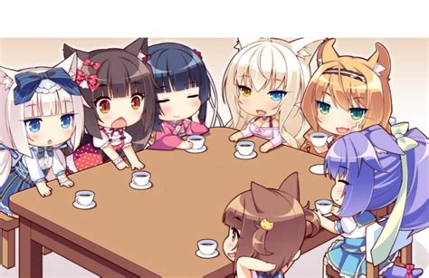 Создать мем "nekopara vol 4, nekopara vol 0, некопара" - Картинки ...