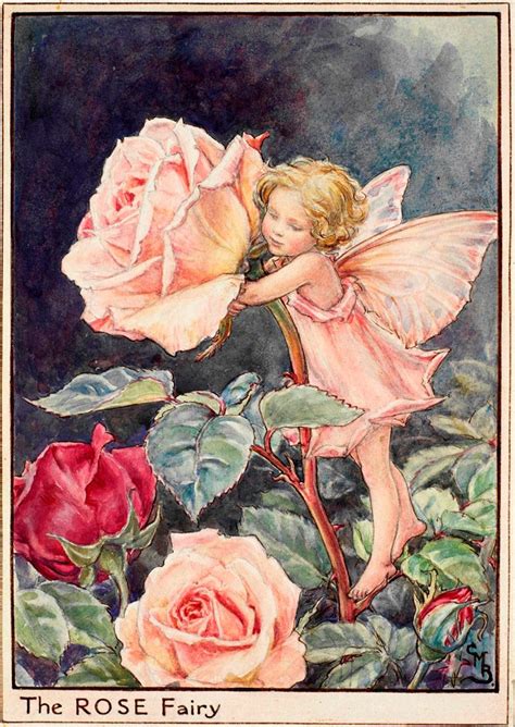 The Rose Fairy - Flower Fairies