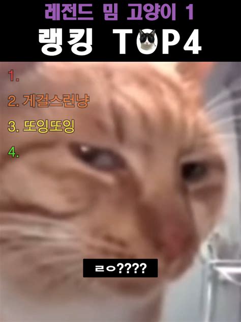 top tiktok
