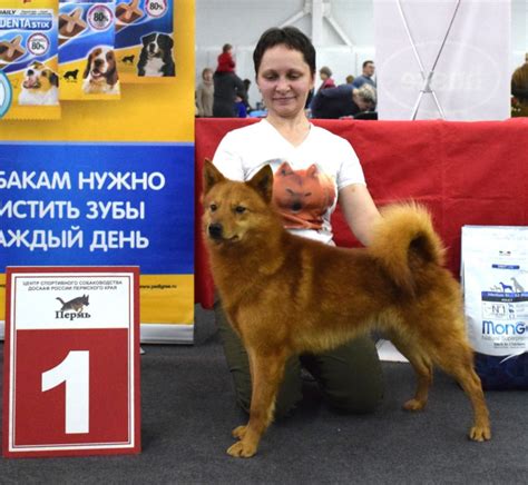 Центр Спортивного Собаководства-Воронеж- дрессировка собак ...