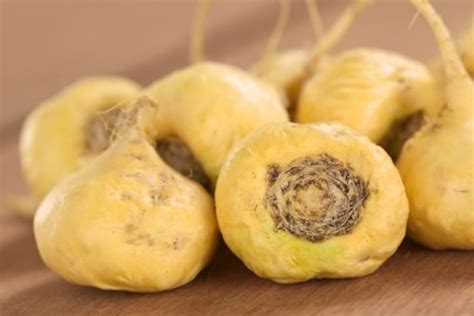 : Maca Root