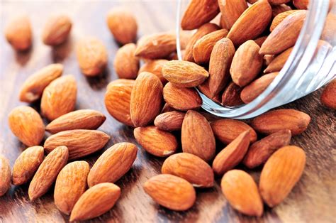 characteristics    almonds britannica