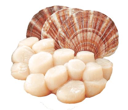 scallops godaco seafood