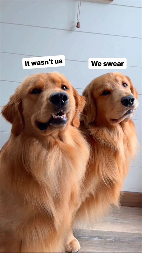 ⁣Our imperfectly perfect little family 🫶🏼⠀ ⠀ We wanted to thank you