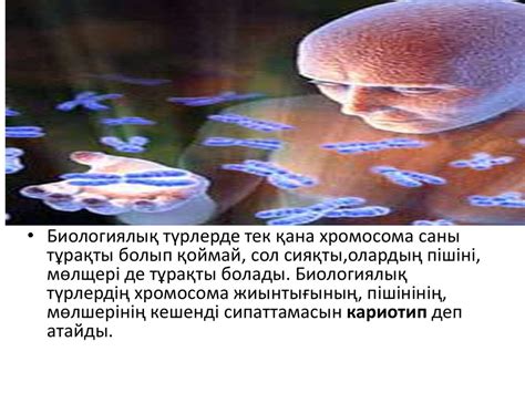 Хромосомалардың құрылымы мен түрі Хромомера, хромонема, хроматин. Адам ...