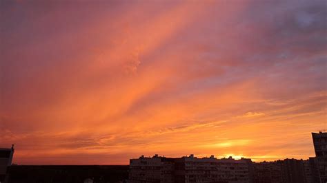 Новости в Зеленограде | Подсмотрено