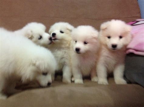 CROSS ROCK - CROSS ROCK added a new photo.