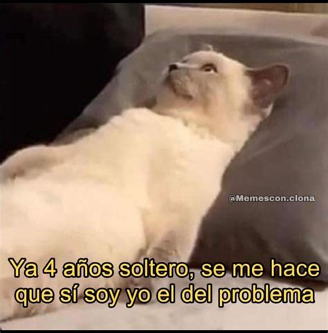 Top memes de Solteros en español :) Memedroid