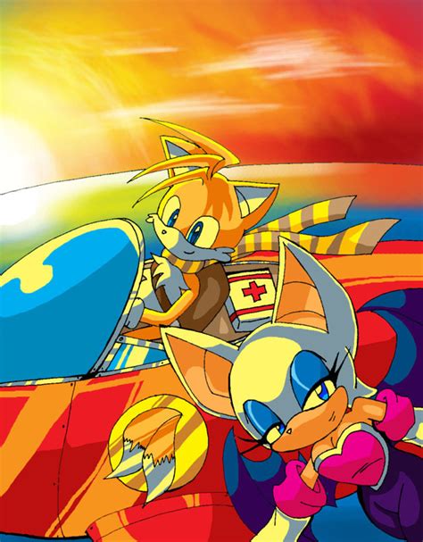 tails and rouge - tailsxrouge Photo (18408462) - Fanpop